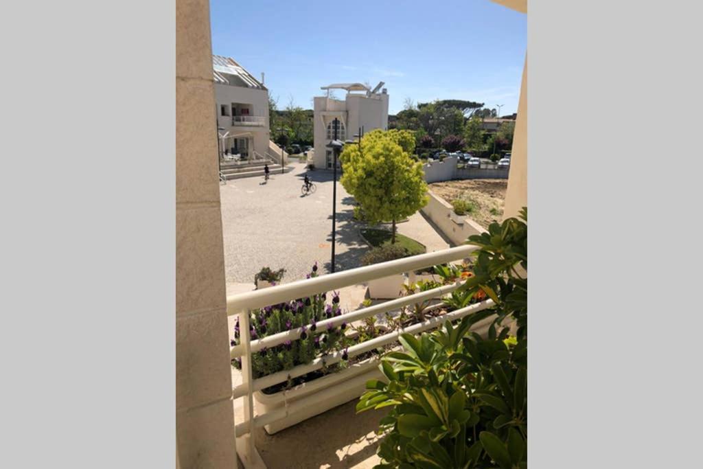 La Suite Sul Borgo Fregenae Exteriör bild