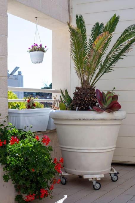 La Suite Sul Borgo Fregenae Exteriör bild